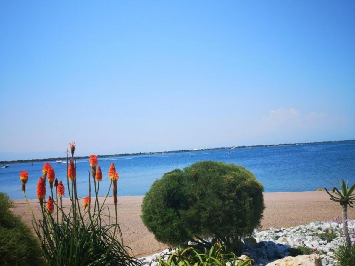 Appartement 4 Pers - Le Barcares - Piscine, Parkings, Terrains De Sport, Fitness - Fr-1-195-25 Εξωτερικό φωτογραφία